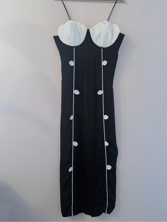 FARM Rio Dresses & Skirts - Farm Rio Black and White Rose detailed sleeveless maxi dress (silky) NWT sz L